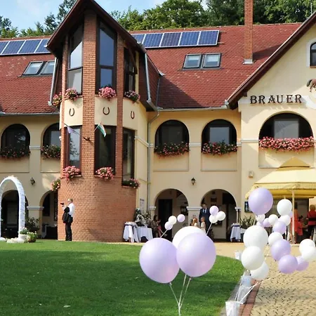 Brauer Panzió Landhaus