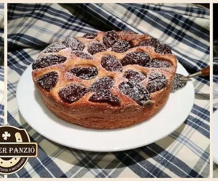 Brauer Panzio Venkovský dům Mecseknádasd