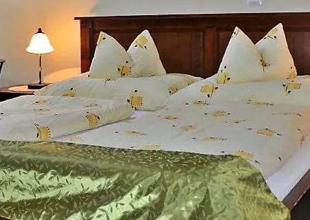 Brauer Panzió