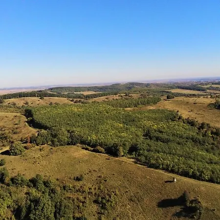 Brauer Panzio * Mecseknádasd